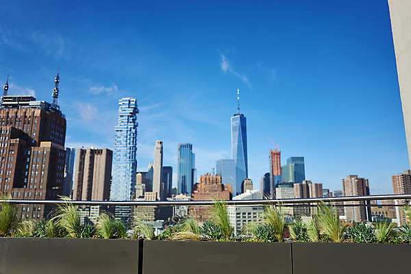 포토 JPG 주간 해외풍경 난간 하늘 사람없음 야외 건물 도시풍경 고층빌딩 도시 옥상 뉴욕 루프탑 국내포토 자연요소 해외 건축물 풍경 빌딩 파티 미국 파일형식