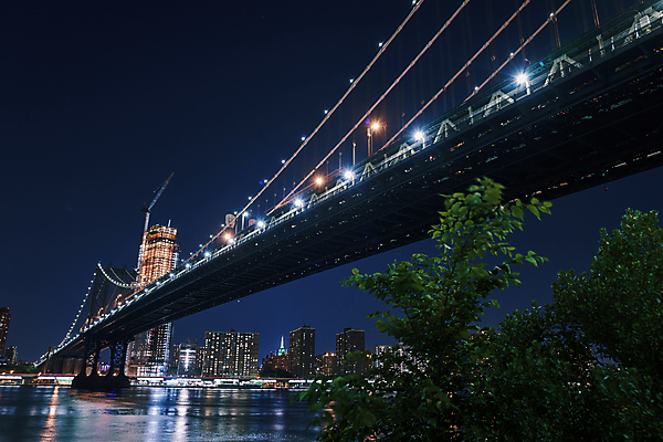포토 JPG 나무 해외풍경 야경 사람없음 야외 빛 고층빌딩 도시 뉴욕 허드슨강 가교 국내포토 식물 해외 건축물 풍경 빌딩 강 미국 야간 파일형식 풍경_경치