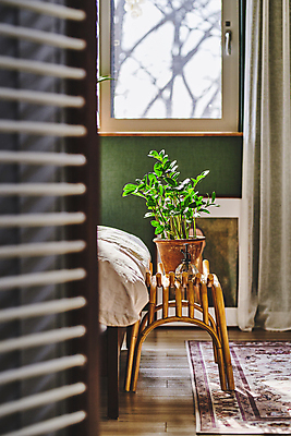 포토 JPG 화초 액자 창문 실내 취미 사람없음 카펫 침대 커튼 받침대 원예 분무기 원예식물 안방 플랜테리어 홈가드닝 국내포토 식물 가구 내부 인테리어 파일형식