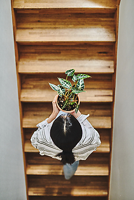 포토 JPG 전신 여자 화분 화초 실내 한명 들기 20대 성인 취미 뒷모습 하이앵글 계단 한국인 운반 원예 오르기 원예식물 성인여자한명만 플랜테리어 홈가드닝 국내포토 식물 1 뷰포인트 모션 사람 동양인 청년 내부 인테리어 여자한명만 성인여자만 파일형식