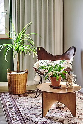 포토 JPG 화분 화초 의자 실내 취미 사람없음 바구니 카펫 커튼 물컵 원예 원예식물 원형탁자 컵홀더 플랜테리어 홈가드닝 국내포토 식물 가구 탁자 내부 컵 인테리어 홀더 파일형식