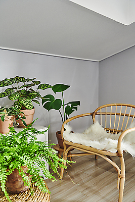 포토 JPG 화분 화초 의자 실내 취미 사람없음 서랍장 원예 원예식물 플랜테리어 홈가드닝 국내포토 식물 가구 내부 인테리어 파일형식