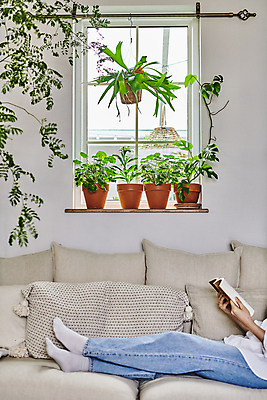 포토 JPG 여자 화분 화초 쿠션 창문 휴식 실내 한명 앉기 20대 성인 취미 옆모습 책 소파 독서 한국인 하반신 창가 원예 원예식물 성인여자한명만 플랜테리어 홈가드닝 행잉플랜트 국내포토 식물 1 뷰포인트 컨셉 의자 모션 사람 동양인 청년 내부 인테리어 여자한명만 성인여자만 파일형식