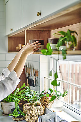 포토 JPG 그릇 손 화분 화초 창문 실내 취미 신체부위 주방 잡기 소프트포커스 찬장 원예 원예식물 꺼내기 플랜테리어 홈가드닝 국내포토 식물 식기 가구 모션 촬영기법 사람 내부 인테리어 파일형식