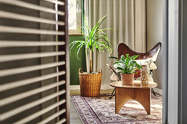 포토 JPG 화분 화초 의자 실내 취미 사람없음 바구니 카펫 커튼 물컵 원예 원예식물 원형탁자 컵홀더 플랜테리어 홈가드닝 국내포토 식물 가구 탁자 내부 컵 인테리어 홀더 파일형식