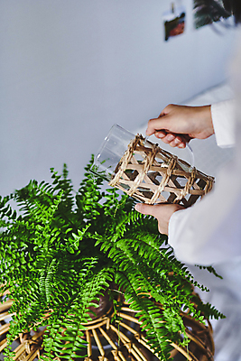 포토 JPG 손 화분 화초 실내 들기 취미 신체부위 붓기 물병 원예 원예식물 물뿌리기 플랜테리어 홈가드닝 국내포토 식물 모션 사람 내부 인테리어 물통 파일형식