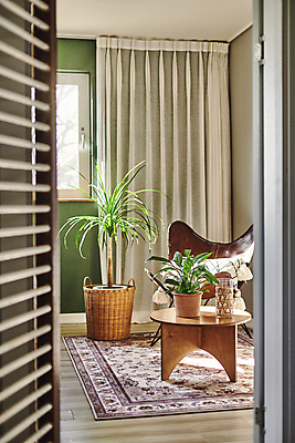 포토 JPG 화분 화초 의자 창문 실내 취미 사람없음 바구니 카펫 커튼 물컵 원예 원예식물 원형탁자 컵홀더 플랜테리어 홈가드닝 국내포토 식물 가구 탁자 내부 컵 인테리어 홀더 파일형식