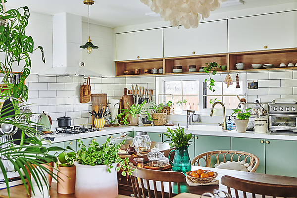 포토 JPG 화분 화초 의자 창문 식탁 주방용품 조명 실내 취미 사람없음 주방 다양 찬장 원예 원예식물 플랜테리어 홈가드닝 국내포토 식물 가구 생활용품 다수 탁자 내부 인테리어 파일형식