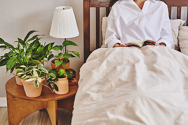 포토 JPG 여자 화분 화초 탁자 휴식 실내 한명 앉기 상반신 20대 성인 취미 앞모습 책 독서 기댐 이불 한국인 침대 스탠드 원예 원예식물 성인여자한명만 플랜테리어 홈가드닝 국내포토 식물 1 뷰포인트 가구 컨셉 침구 모션 조명 사람 동양인 청년 내부 인테리어 여자한명만 성인여자만 파일형식