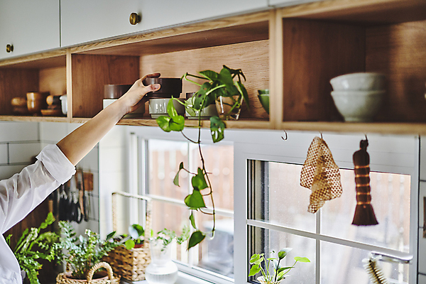 포토 JPG 그릇 손 화분 화초 창문 실내 취미 신체부위 주방 잡기 찬장 원예 원예식물 꺼내기 플랜테리어 홈가드닝 국내포토 식물 식기 가구 모션 사람 내부 인테리어 파일형식