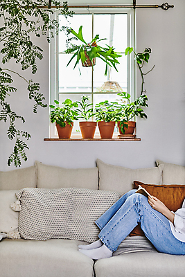 포토 JPG 여자 화분 화초 쿠션 창문 휴식 실내 매달리기 한명 들기 앉기 20대 성인 취미 옆모습 책 소파 독서 한국인 하반신 창가 원예 원예식물 성인여자한명만 플랜테리어 홈가드닝 행잉플랜트 국내포토 식물 1 뷰포인트 컨셉 의자 모션 사람 동양인 청년 내부 인테리어 여자한명만 성인여자만 파일형식