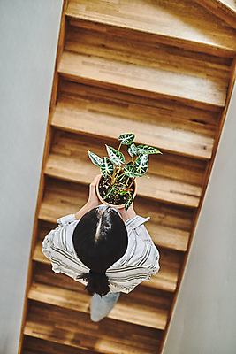 포토 JPG 전신 여자 화분 화초 실내 한명 들기 20대 성인 취미 뒷모습 하이앵글 계단 한국인 운반 원예 오르기 원예식물 성인여자한명만 플랜테리어 홈가드닝 국내포토 식물 1 뷰포인트 모션 사람 동양인 청년 내부 인테리어 여자한명만 성인여자만 파일형식