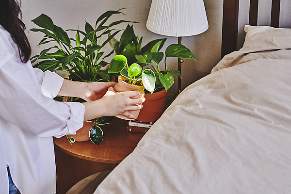 포토 JPG 여자 화분 화초 탁자 실내 한명 들기 상반신 20대 성인 취미 옆모습 이불 한국인 침대 스탠드 원예 원예식물 성인여자한명만 플랜테리어 홈가드닝 놓기 국내포토 식물 1 뷰포인트 가구 침구 모션 조명 사람 동양인 청년 내부 인테리어 여자한명만 성인여자만 파일형식