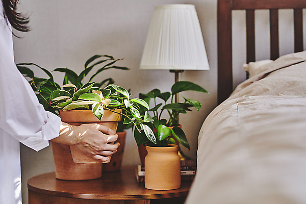 포토 JPG 여자 화분 화초 탁자 실내 한명 들기 상반신 20대 성인 취미 옆모습 한국인 침대 스탠드 원예 원예식물 성인여자한명만 플랜테리어 홈가드닝 놓기 국내포토 식물 1 뷰포인트 가구 모션 조명 사람 동양인 청년 내부 인테리어 여자한명만 성인여자만 파일형식