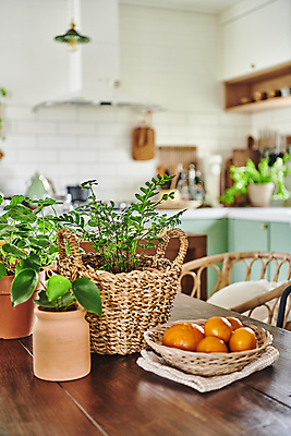 포토 JPG 화분 화초 식탁 귤 실내 취미 사람없음 아웃포커스 바구니 주방 식탁보 담기 원예 원예식물 플랜테리어 홈가드닝 국내포토 식물 과일 모션 탁자 촬영기법 내부 인테리어 파일형식