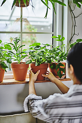 포토 JPG 주간 여자 화분 화초 창문 실내 한명 상반신 20대 성인 취미 뒷모습 한국인 잡기 창가 원예 창틀 원예식물 성인여자한명만 플랜테리어 홈가드닝 놓기 국내포토 자연요소 식물 1 뷰포인트 모션 사람 동양인 청년 내부 인테리어 여자한명만 성인여자만 파일형식