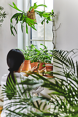 포토 JPG 여자 화분 화초 창문 실내 매달리기 한명 상반신 20대 성인 취미 뒷모습 한국인 잡기 소프트포커스 창가 원예 창틀 원예식물 성인여자한명만 플랜테리어 홈가드닝 놓기 행잉플랜트 국내포토 식물 1 뷰포인트 모션 촬영기법 사람 동양인 청년 내부 인테리어 여자한명만 성인여자만 파일형식