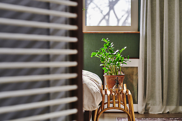 포토 JPG 화분 화초 액자 창문 탁자 실내 취미 사람없음 침대 커튼 받침대 원예 분무기 원예식물 플랜테리어 홈가드닝 국내포토 식물 가구 내부 인테리어 파일형식