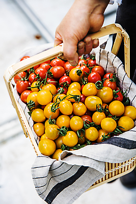 포토 JPG 손 토마토 식재료 방울토마토 실내 들기 신체부위 바구니 전라북도 천 가득함 담기 특산물 완주군 국내포토 채소 모션 사람 내부 직물 전라도 파일형식