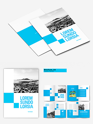 전신 템플릿 남자 리플렛 섬 하늘색 자연 하늘 귤 흑백 한명 팜플렛 성인 제주도 자전거 봄 돌_바위 흰색 승차 해안도로 QR코드 귤나무 제주도여행 성인남자한명만 인디자인 INDD 이미지템플릿 나무 1 계절 도로 컬러 여행 과일 모션 한국 촬영기법 사람 파란색 바이크 생태계 남자한명만 성인남자만 파일형식