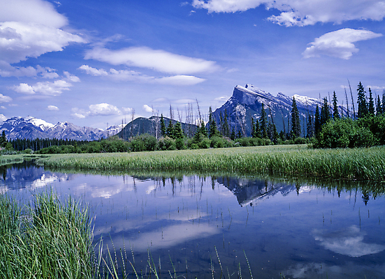 포토 JPG 주간 나무 구름 호수 하늘 산 풍경 사람없음 야외 반사 맑음 풀 국내포토 자연요소 식물 날씨 파일형식