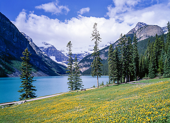포토 JPG 주간 나무 구름 꽃 호수 하늘 산 풍경 초원 사람없음 야외 맑음 국내포토 자연요소 식물 날씨 파일형식