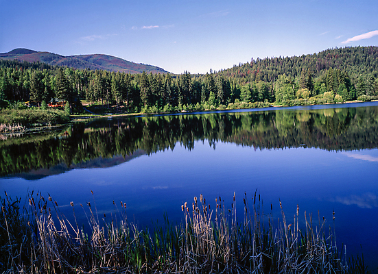 포토 JPG 주간 나무 호수 하늘 산 갈대 풍경 사람없음 야외 반사 맑음 국내포토 자연요소 식물 날씨 파일형식