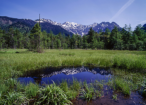 포토 JPG 주간 나무 호수 하늘 산 풍경 초원 사람없음 야외 반사 풀 국내포토 자연요소 식물 파일형식