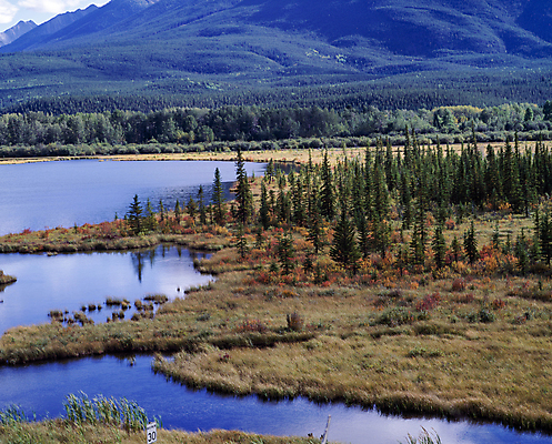 포토 JPG 주간 나무 호수 산 풍경 초원 사람없음 야외 국내포토 자연요소 식물 파일형식