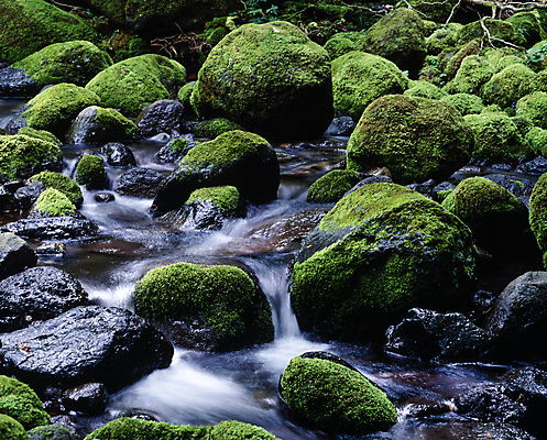 포토 JPG 주간 이끼 풍경 사람없음 야외 물 폭포 흐름 바위 국내포토 자연요소 컨셉 자연 돌_바위 파일형식