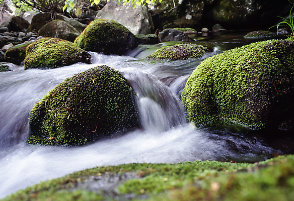 포토 JPG 주간 이끼 풍경 사람없음 야외 물 강 폭포 흐름 바위 소프트포커스 국내포토 자연요소 컨셉 자연 촬영기법 돌_바위 파일형식