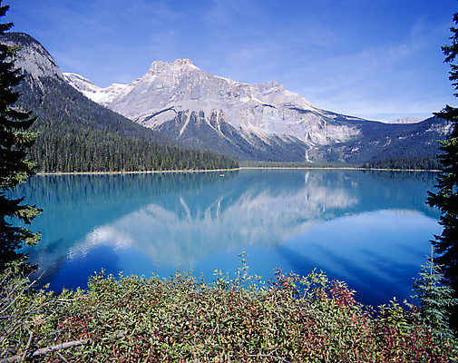 포토 JPG 주간 호수 하늘 나뭇잎 산 풍경 사람없음 야외 반사 맑음 풀 국내포토 자연요소 식물 잎 날씨 파일형식