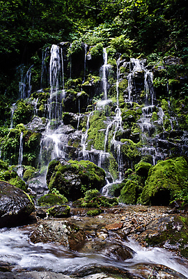 포토 JPG 주간 나뭇잎 이끼 풍경 사람없음 야외 물 계곡 폭포 흐름 바위 국내포토 자연요소 컨셉 잎 자연 돌_바위 파일형식