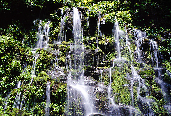 포토 JPG 주간 나뭇잎 이끼 풍경 사람없음 야외 물 폭포 흐름 바위 국내포토 자연요소 컨셉 잎 자연 돌_바위 파일형식