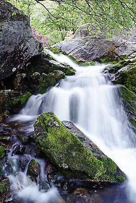 포토 JPG 주간 나뭇잎 이끼 풍경 사람없음 야외 물 계곡 폭포 흐름 바위 국내포토 자연요소 컨셉 잎 자연 돌_바위 파일형식