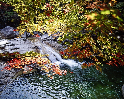 포토 JPG 주간 단풍 풍경 사람없음 야외 물 계곡 폭포 바위 소프트포커스 국내포토 자연요소 잎 자연 촬영기법 돌_바위 파일형식