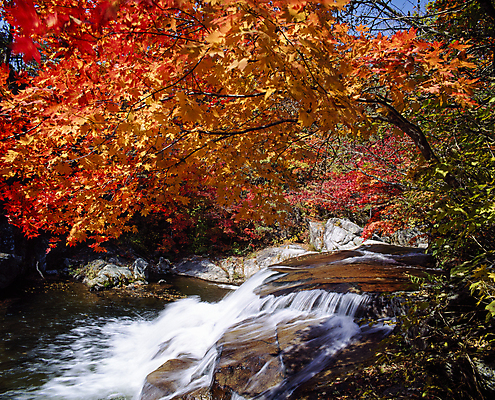 포토 JPG 주간 단풍 단풍나무 풍경 사람없음 야외 물 계곡 폭포 흐름 바위 국내포토 자연요소 나무 컨셉 잎 자연 돌_바위 파일형식