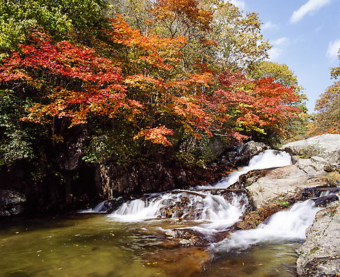 포토 JPG 주간 단풍 하늘 단풍나무 풍경 사람없음 야외 물 계곡 맑음 폭포 흐름 돌_바위 국내포토 자연요소 나무 컨셉 잎 자연 날씨 파일형식
