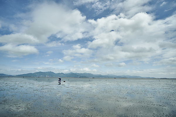 포토 JPG 주간 전신 구름 하늘 산 한명 사람 풍경 야외 맑음 전라북도 갯벌 고창 드넓은 조개잡이 국내포토 자연요소 1 날씨 어업 전라도 파일형식