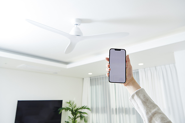 포토 JPG 식물 손 실내 스마트라이프 들기 신체부위 스마트폰 스마트기기 텔레비전 커튼 선풍기 천장 컨트롤 목업 사물인터넷 스마트홈 국내포토 라이프스타일 모션 정보기술 사람 내부 전자제품 핸드폰 가전제품 파일형식 AI_인공지능