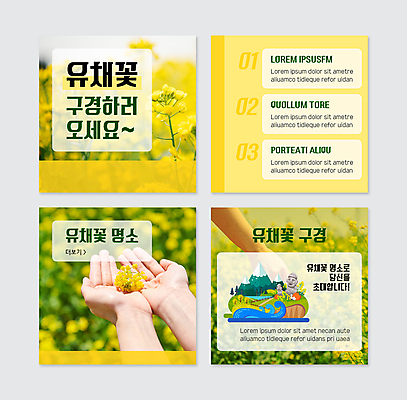 PSD 템플릿 손 파도 웹템플릿 꽃밭 산 들기 신체부위 관광지 제주도 노란색 축제 봄 돌하르방 유채 한라봉 꽃구경 꽃축제 유채밭 카드뉴스 지역축제 봄축제 대한민국축제 이미지템플릿 계절 꽃 바다 컬러 여행 밭 과일 모션 한국 사람 파일형식