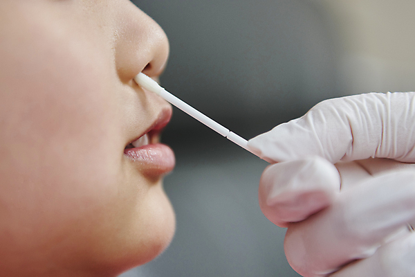 포토 JPG 손 남자 얼굴 어린이 장갑 실내 한명 들기 근접촬영 소년 아웃포커스 신체부위 한국인 검사_조사 보호자 자가진단 소년한명만 코로나바이러스 진단키트 검사면봉 델타변이바이러스 오미크론 신속항원검사 국내포토 1 잡화 뷰포인트 의학 모션 촬영기법 사람 동양인 내부 의료용품 바이러스 남자한명만 소년만 파일형식