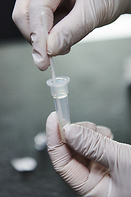 포토 JPG 손 장갑 실내 들기 아웃포커스 신체부위 잡기 검사_조사 용액 보호자 넣기 자가진단 코로나바이러스 진단키트 검사면봉 델타변이바이러스 오미크론 신속항원검사 국내포토 잡화 의학 모션 촬영기법 사람 내부 의료용품 바이러스 파일형식