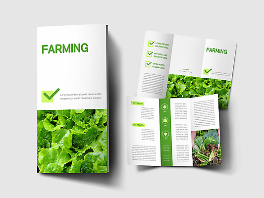 템플릿 표지디자인 손 표지 내지 리플렛 3단접지 고추 들기 팜플렛 신체부위 초록색 농작물 농사 흰색 상추 체크표시 깻잎 이미지템플릿 AI파일 컬러 농업 채소 모션 사람 확인 파일형식 벡터