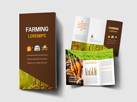 템플릿 표지디자인 손 표지 내지 리플렛 3단접지 그래프 들기 팜플렛 신체부위 갈색 농사 당근 물뿌리개 벼 흰색 트랙터 보여주기 비닐하우스 이미지템플릿 AI파일 컬러 농업 모션 곡류 뿌리채소 사람 농기계 특수차량 파일형식 벡터