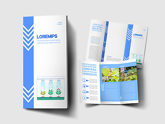 템플릿 표지디자인 손 표지 남자 내지 리플렛 40대 중년 하늘색 밭 3단접지 한명 들기 팜플렛 신체부위 새싹 농사 물뿌리개 한국인 하반신 흰색 농부 물뿌리기 중년남자한명만 이미지템플릿 AI파일 식물 직업 1 컬러 농업 모션 사람 동양인 성인 파란색 남자한명만 중년남자만 파일형식 벡터