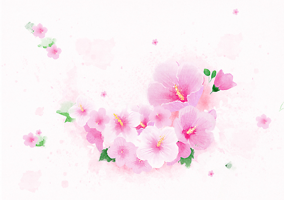 PSD 분홍색 일러스트 한국 사람없음 풀 무궁화 꽃프레임 프레임일러스트 국내일러스트 식물 꽃 아시아 컬러 프레임 파일형식