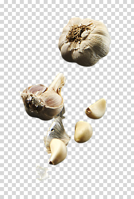 편집 편집이미지 마늘 누끼 사람없음 PNG 통마늘 편집소스 채소 파일형식