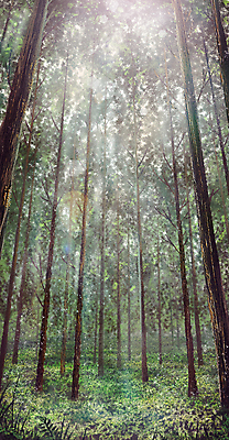 PSD 나무 로우앵글 일러스트 자연 휴식 풍경 사람없음 초록색 빛 숲속 숲 힐링 자연백그라운드 울창 국내일러스트 식물 뷰포인트 컬러 백그라운드 컨셉 생태계 파일형식