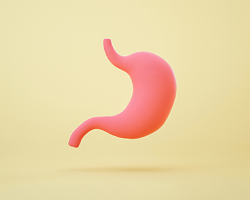 PSD 편집 편집이미지 분홍색 사람없음 노란색 3D소스 3D 모형 장기 디지털합성 위장 편집소스 편집3D 컬러 신체 장기_의학 파일형식